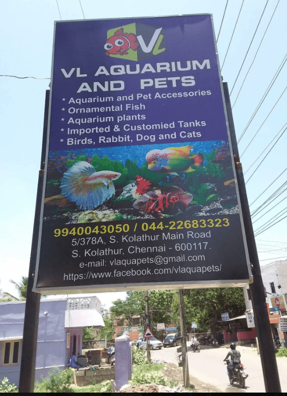 Thumbnail for VL Aquarium & Pets: Fresh Fish, Aquarium Supplies & Livestock in Chennai