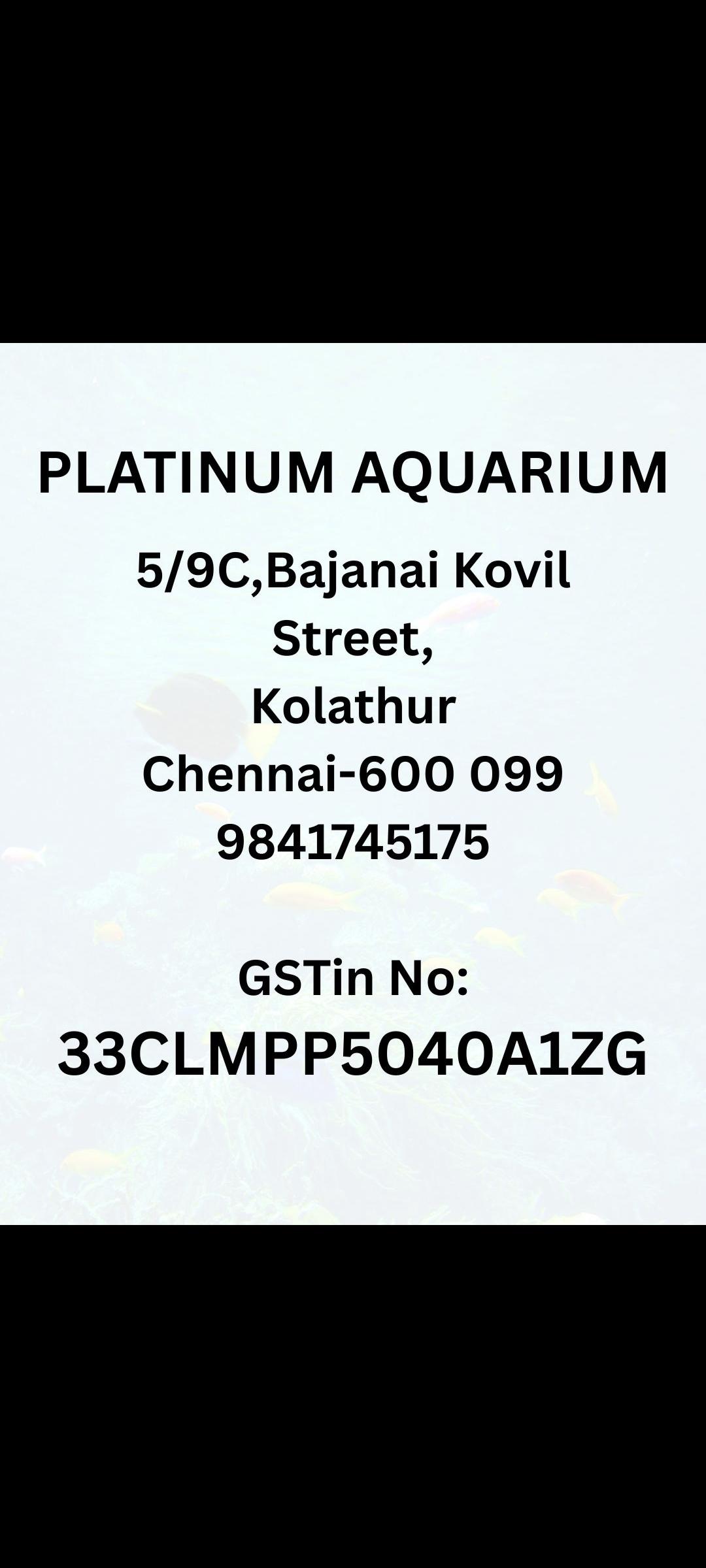 Featured view of Premium Aquarium Accessories for Sale – Enhance Your Fish Tank Today!