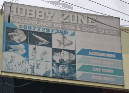 Thumbnail for Hobby Zone Pet Aquarium & Bird Shop – Wide Selection of Fishes & Aquarium Supplies in Chennai