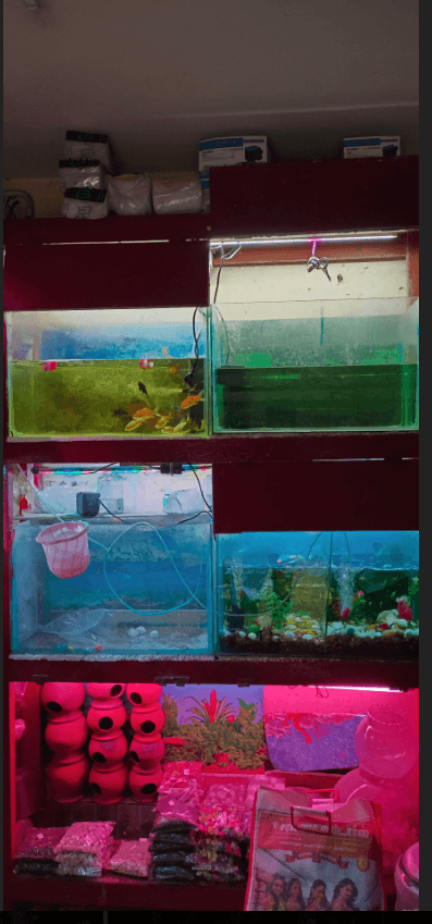 Featured view of Top-Quality Pet Cages & Nutritious Food for Sale Near Korattur