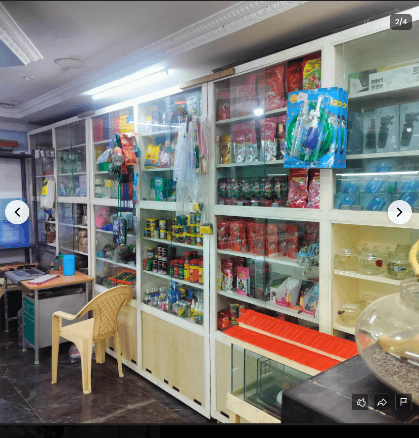Thumbnail for Wide Range of Pet Food & Aquarium Accessories Available in Chennai