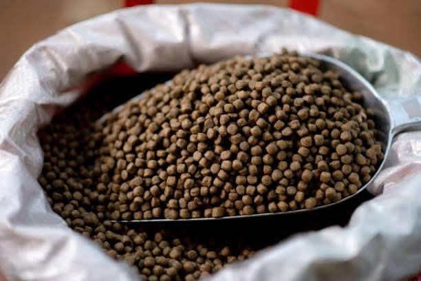 Featured view of Premium Koi Fish Food – 1kg Pack at ₹75