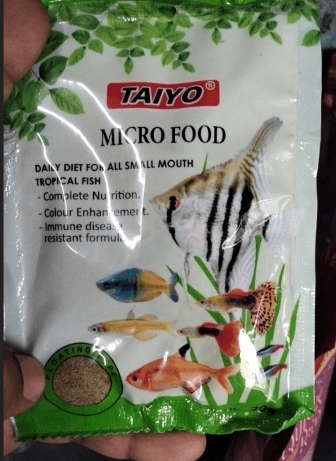 Thumbnail for Top-Quality Fish, Aquarium Tanks & Food – Great Selection for Enthusiasts