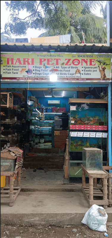 Thumbnail for HARI PET ZONE & AQUARIUM – Best Fishes & Aquarium Accessories Store in Kovilambakkam, Chennai