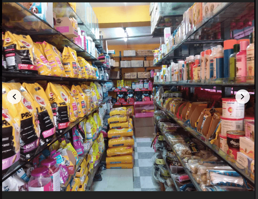 Thumbnail for Wide Selection of Birds and Quality Bird Food for Sale