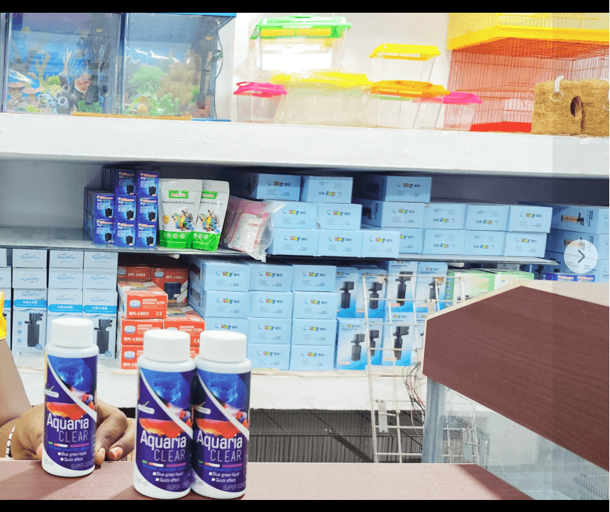 Thumbnail for Premium Aquarium Food & Accessories at Platinum Aquarium, Chennai