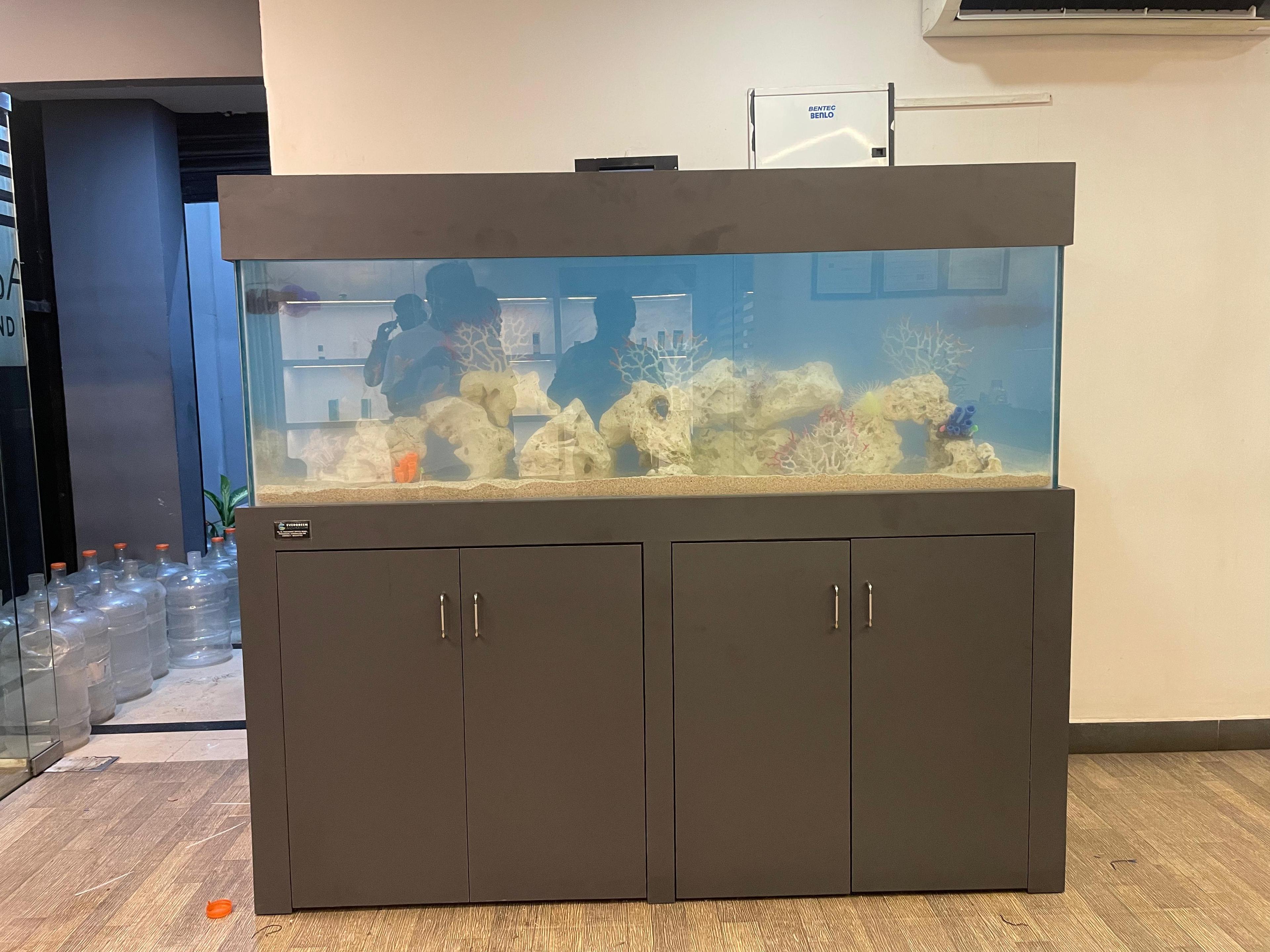 Featured view of Evergreen aquarium 