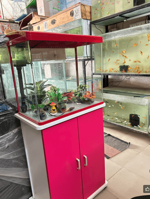 Featured view of BJ Aquarium: Fish Tanks & Aquarium Accessories in Chennai