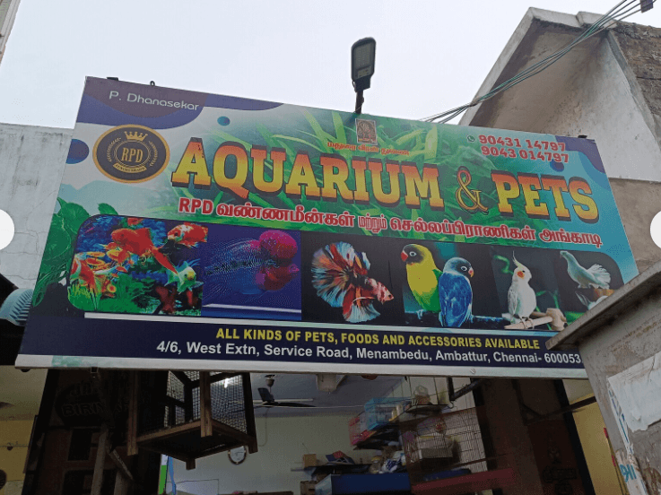Featured view of Wide Range of Pet Food & Accessories – Pets and Fish Available in Ambattur, Chennai
