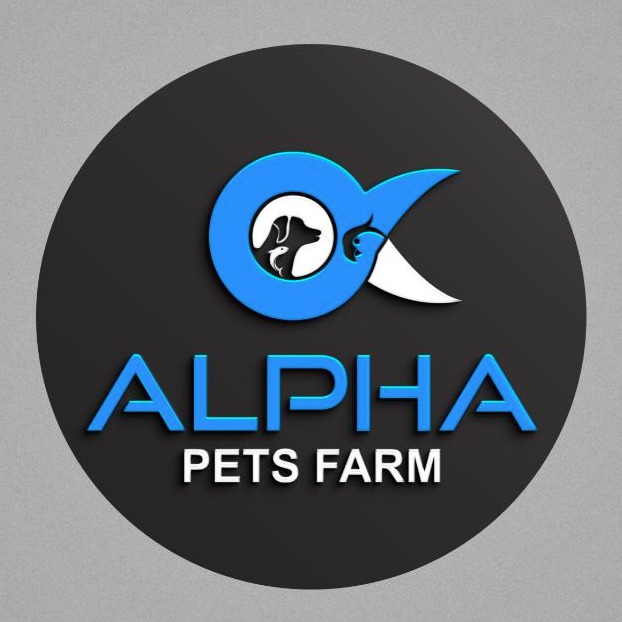 Alpha pets & aquarium | BidsBlue | BidsBlue